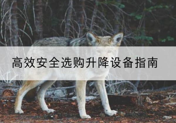 乳山升降货梯厂家推荐-*安全选购升降设备指南