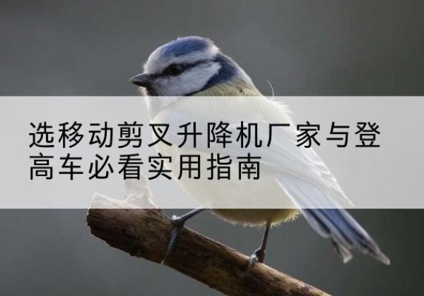 乳山电动升降机厂家-选移动剪叉升降机厂家与登高车必看实用指南