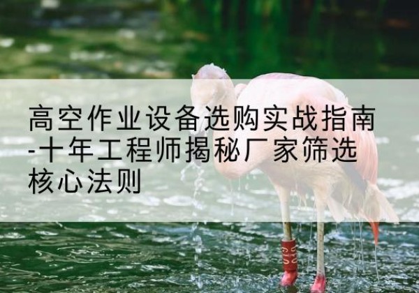 乳山剪叉式升降机厂家-高空作业设备选购实战指南-十年工程师揭秘厂家筛选核心法则